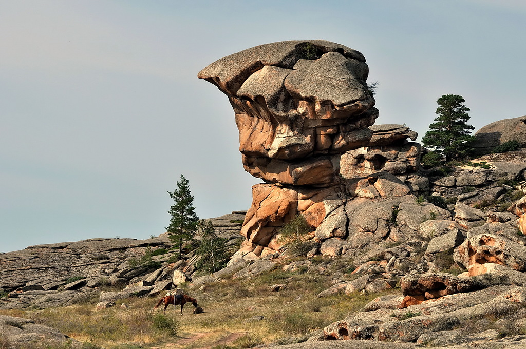 DSC_0145.JPG DSC_0145.JPG