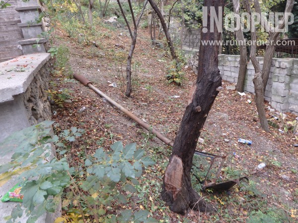 В Севастополе найдена «улица разбитых фонарей» (ФОТО) В Севастополе найдена «улица разбитых фонарей» (ФОТО)