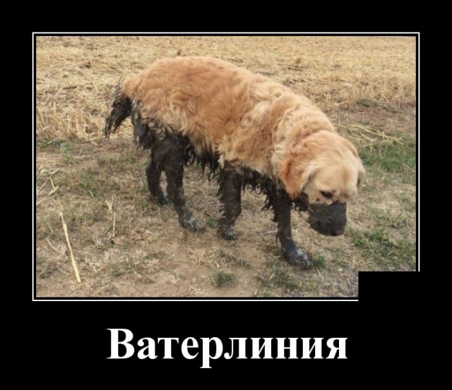 Забавные и новые демотиваторы. 547 ( 30 фото ) Забавные и новые демотиваторы. 547 ( 30 фото )