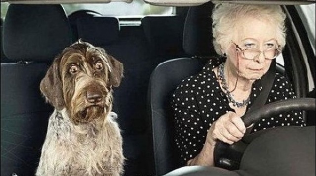 Как бабушка автобус водила. Как бабушка автобус водила.