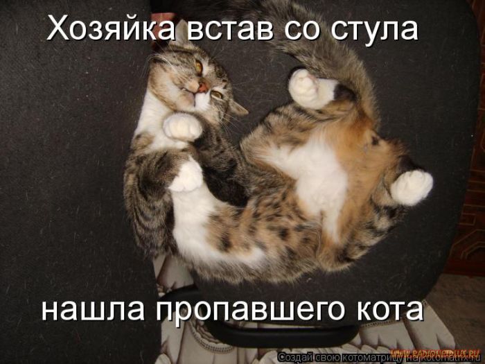 Котоматрицы великолепные, каждая с кусочком позитива и хорошего настроения!!! Котоматрицы великолепные, каждая с кусочком позитива и хорошего настроения!!!