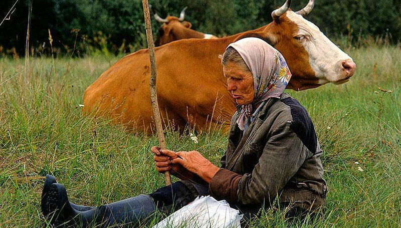 В затерянном мире В затерянном мире