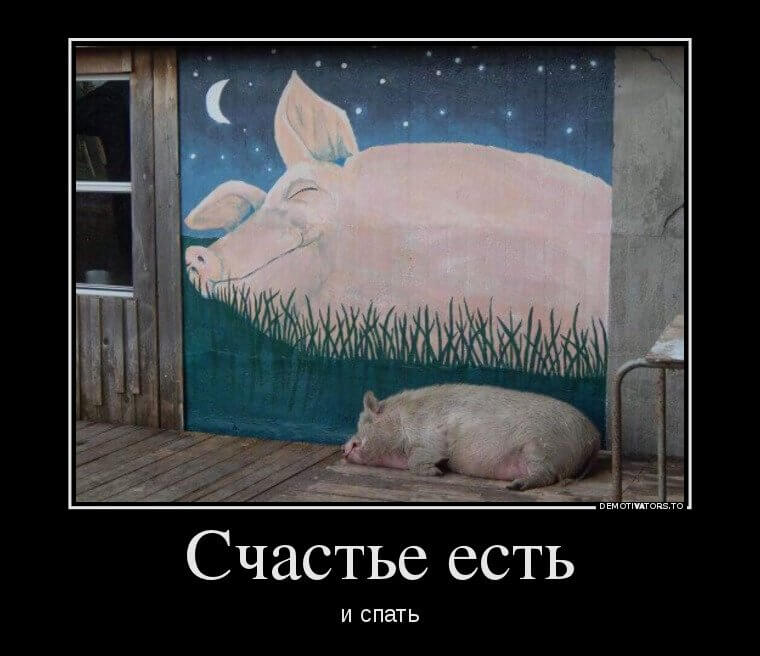 19+ мегаржачных демотиваторов, которые заставят вас кататься по полу :D 19+ мегаржачных демотиваторов, которые заставят вас кататься по полу :D