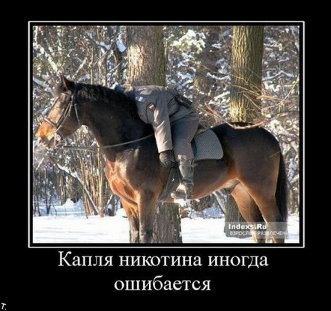 Ржачка на выходные... Ржачка на выходные...
