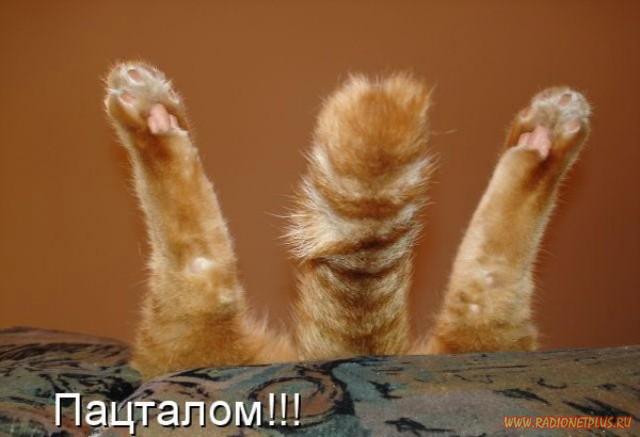 Давайте улыбаться вместе! :) (28поводов)