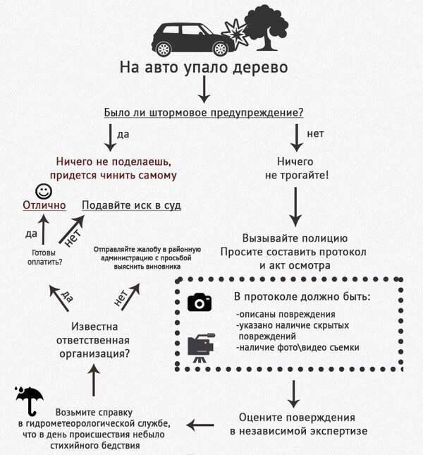 Полезная информация, или почему МЧС чуть что объявляет штормовое предупреждение