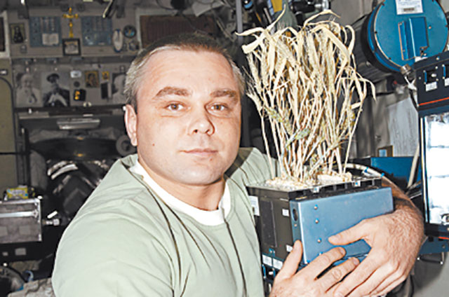 Космическая грядка... или что выращивают на орбите?