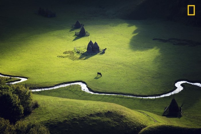 «Красота земная»: 15 лучших работ ежегодного фотоконкурса National Geographic, посвящённого дикой природе