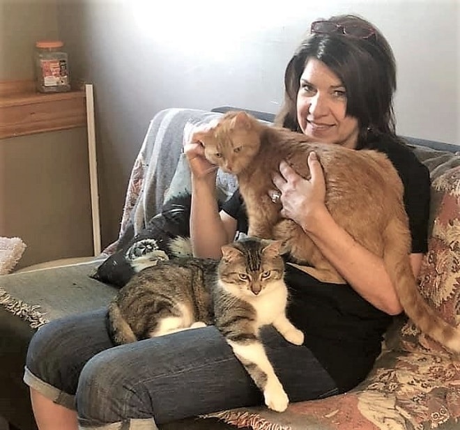 Женщина гладит котов Женщина с котами