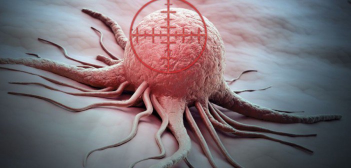 Учёными создан вирус, уничтожающий все виды раковых клеток