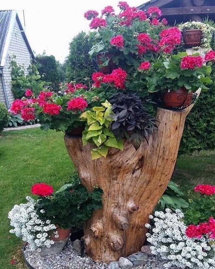 Пеньки цветочные дачные