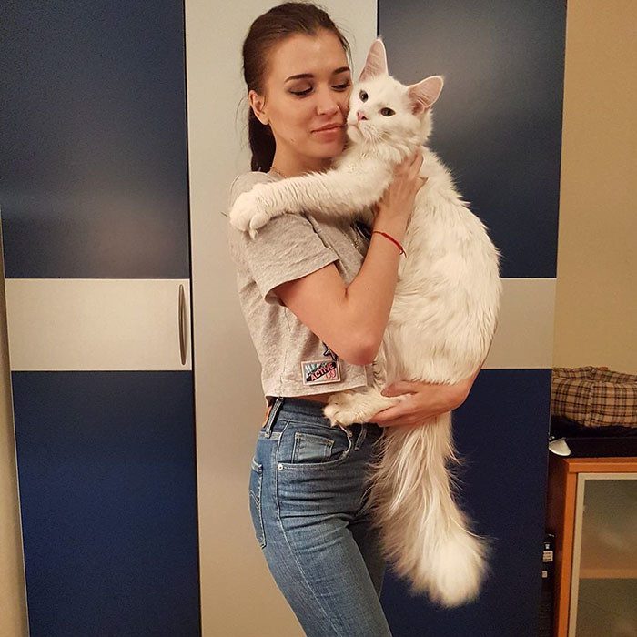 Кот Тихон, который очень любит обниматься Кот Тихон, который очень любит обниматься