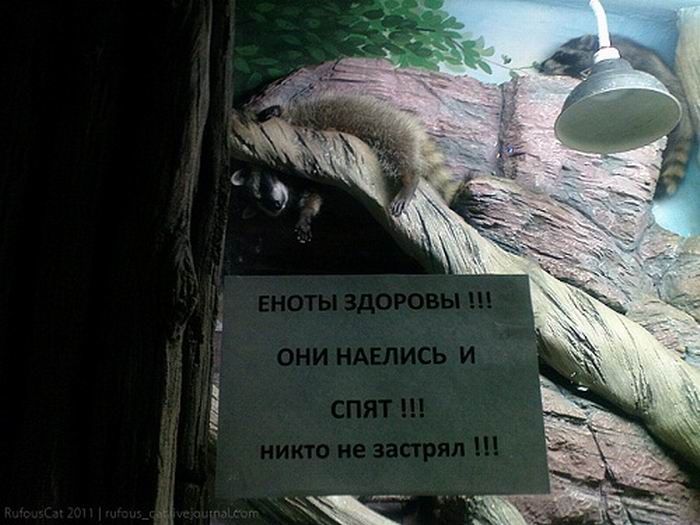Маразмы Маразмы