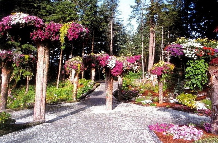 Ботанический сад Glacier Gardens на Аляске Ботанический сад Glacier Gardens на Аляске