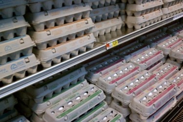 Уловки с датой выпуска, размером и мытьем при продаже яиц. Как не дать себя обмануть рис-3