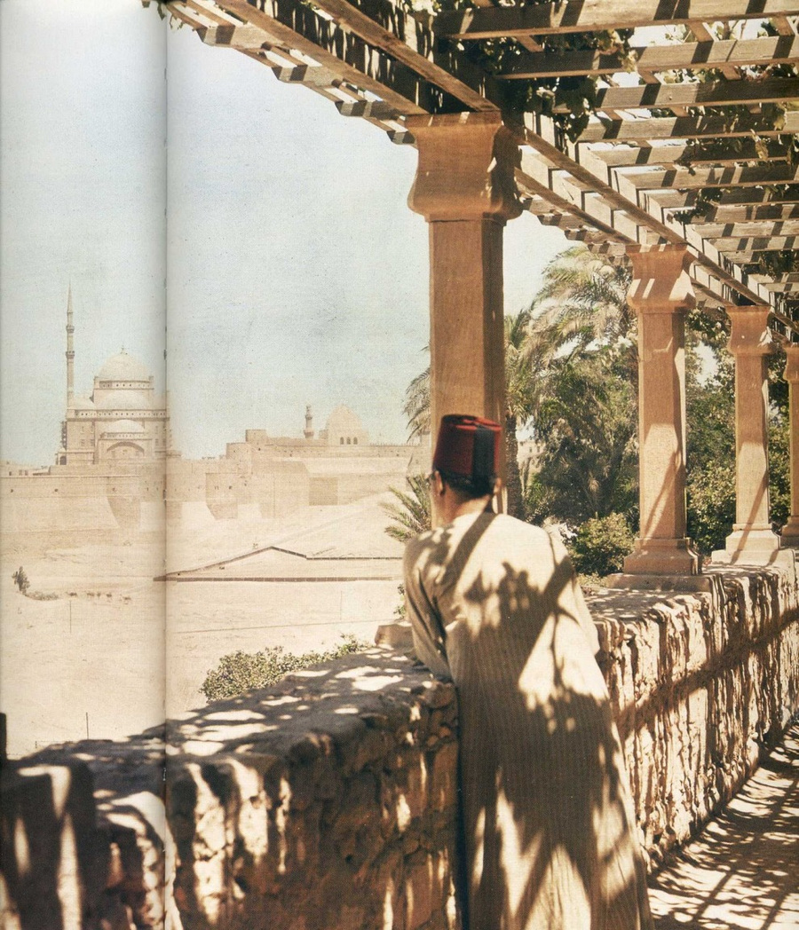 fotografii National Geographic 71