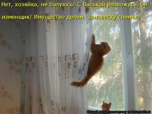 Самые уморительные котоматрицы) Самые уморительные котоматрицы)