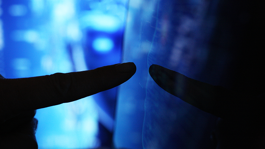 Эксперты сообщили о прорыве ИИ в диагностике рака почек