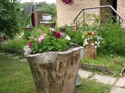 Пеньки цветочные дачные