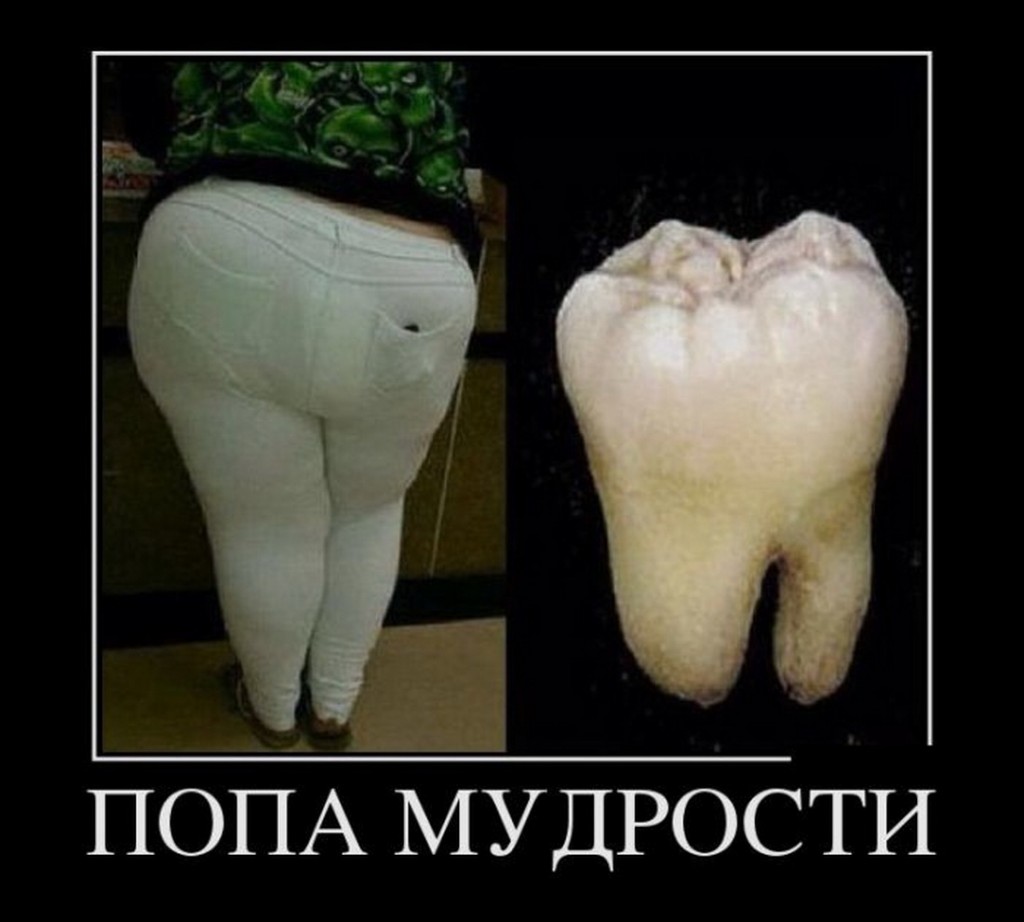 Приколы про попки считаю, что prikoli-pro-popki