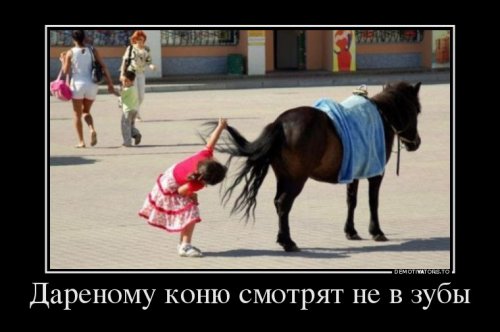 Демотиваторы на 23 февраля (13 шт) Демотиваторы на 23 февраля (13 шт)