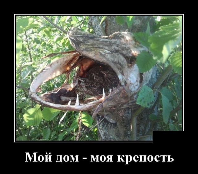 Забавные и новые демотиваторы. 547 ( 30 фото ) Забавные и новые демотиваторы. 547 ( 30 фото )