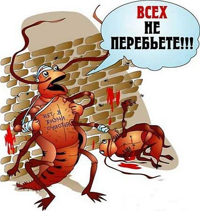 Диковинные знания и факты, которые позабавят вас, но вряд ли пригодятся Диковинные знания и факты, которые позабавят вас, но вряд ли пригодятся