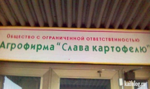 Картофельфест открыт (50 фото) Картофельфест открыт (50 фото)