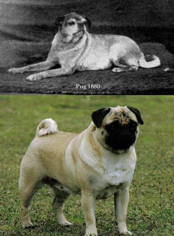 Удивительное рядом