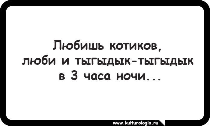 15 открыток, которые будут близки и понятны поклонникам котиков