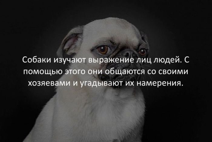 Факты о разном