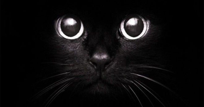 ��� ������ �����������������: �������, ������� ����� ��������� � ����� ����������!