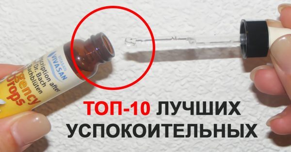 thumb-600x315