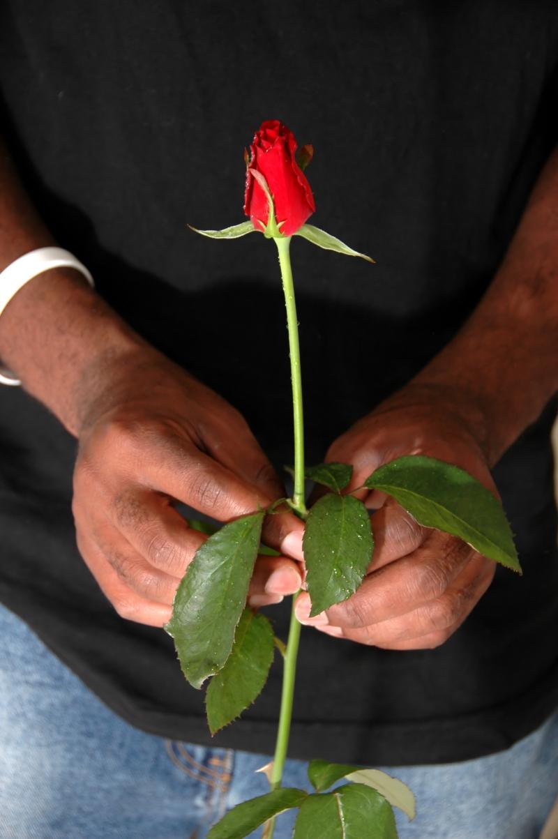 картинки роза в руке мужчины