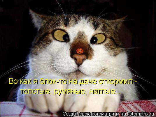 http://mtdata.ru/u2/photoF8B2/20333941398-0/original.jpg#20333941398