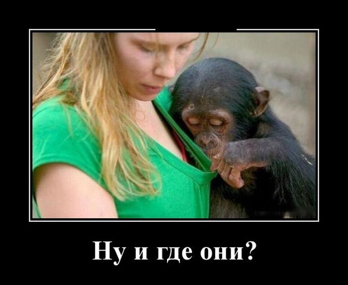 Демотиваторы для хорошего настроения