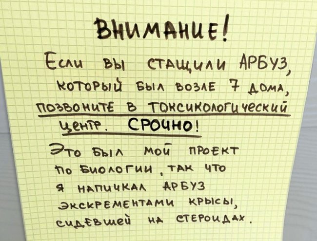 Когда сосед с чувством юмора Когда сосед с чувством юмора