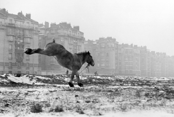 Порт-де-Ванв, 1951 год. Автор: Sabine Weiss. Порт-де-Ванв, 1951 год. Автор: Sabine Weiss.