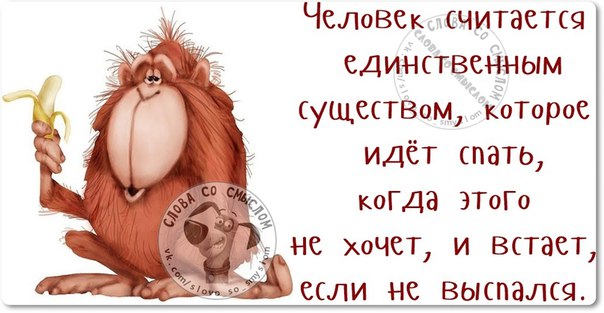 Позитивные фразочки в картинках