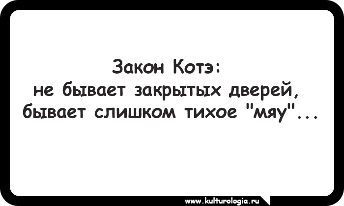 15 открыток, которые будут близки и понятны поклонникам котиков