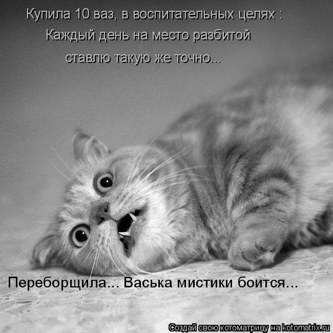 kotomatritsa_F (650x650, 159Kb)