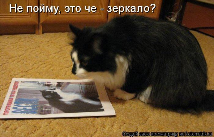 Мысли вслух :)