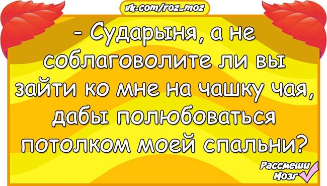 Анекдоты от «Рассмеши мозг» читай тихо — пусть все думают, что ты работаешь