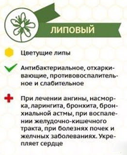 Сорта меда и их влияние на наш организм