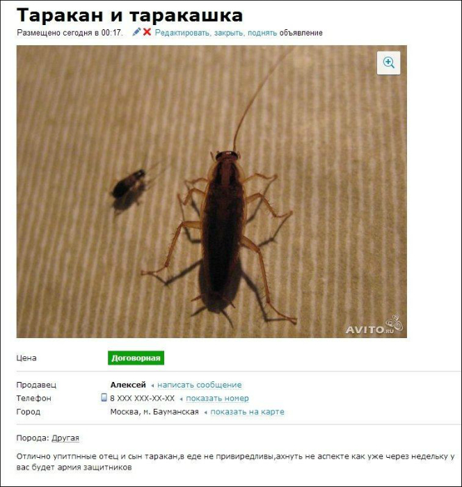 Защитники дома. Защитники дома.