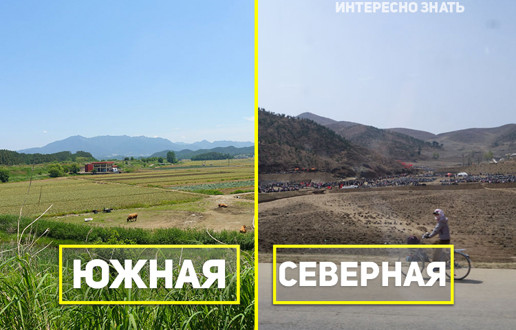 Север VS Юг: сравнение образа жизни людей в двух Кореях