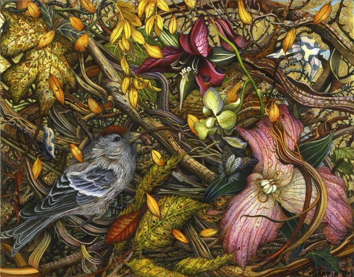 Веточки-цветочки и райские птицы: красочные картины Джуди Гарфин