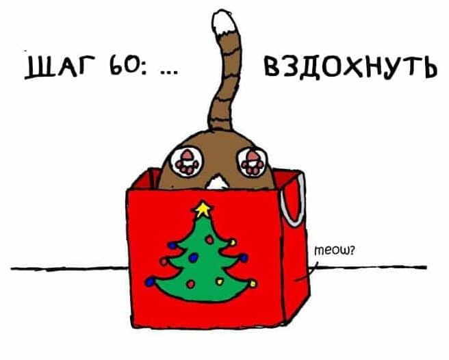 лайфхак с котом кот в пакете
