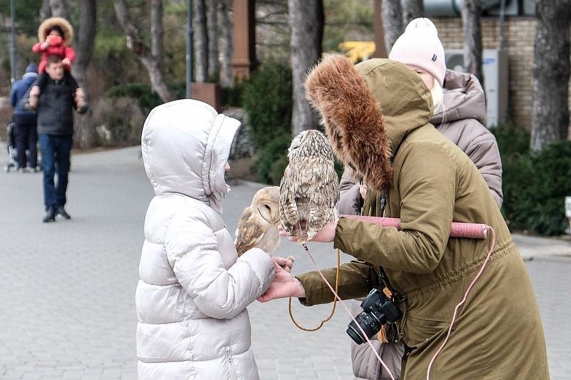 Анапа сегодня. Фото 2018, анапа, фоторепортаж