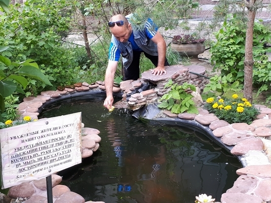В Петербурге решили наказать жителя, облагородившего придомовую территорию за свой счет Жителя, облагородившего придомовую территорию за свой счет, решили наказать